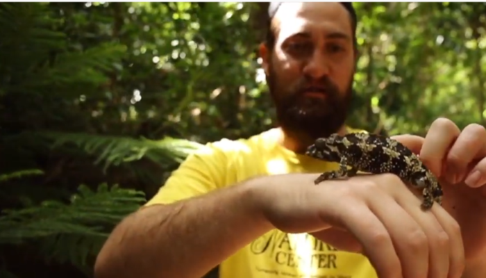 A man holding and petting a lizard in nature