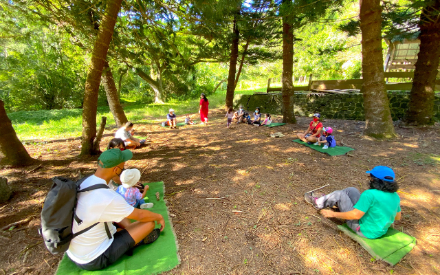 A group of people sitting on mats in a serene forest, enjoying nature and each other's company.