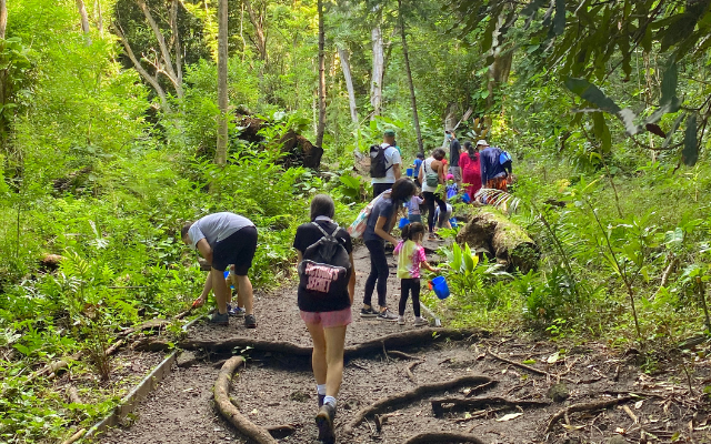 A group of children and adults along a path in nature exploring their surroundings.