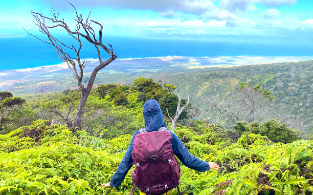 A person with a backpack stands on a mountain, gazing at the ocean below.