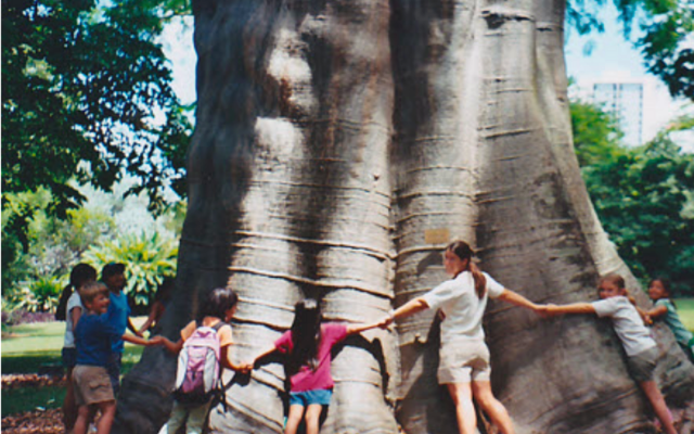 A group of young children interlocking hands around a big tree