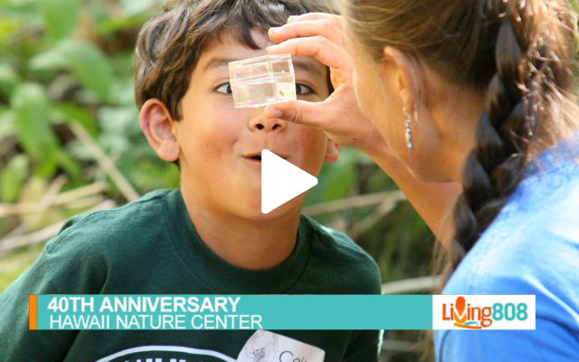 A screenshot from a news coverage of Hawai'i Nature Center 40th Anniversary, featuring a young boy looking into a sample presented by an educator.