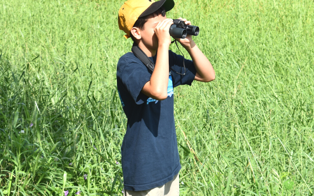 A boy immersed in nature, using binoculars to observe birds.