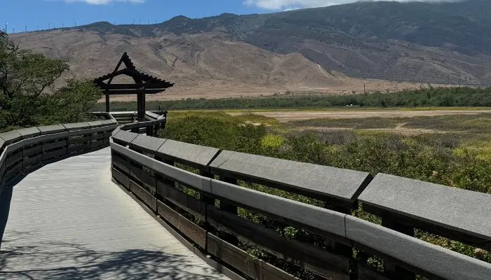 A charming walkway leads directly to a breathtaking mountain range, showcasing the beauty of the great outdoors