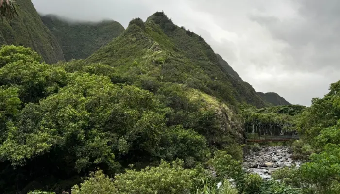 A river flows through a vibrant green valley, bordered by majestic mountains in the background.