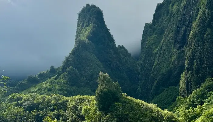 Lush green mountains rise under a sky filled with soft, white clouds.