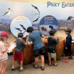 Kids being interactive at a museum