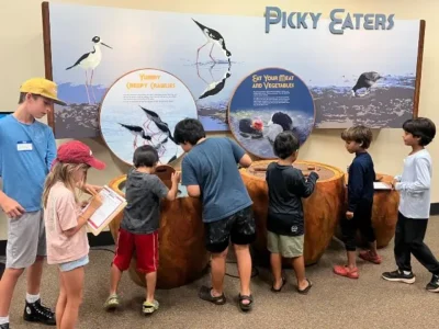 Kids being interactive at a museum