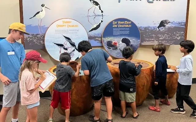 Kids being interactive at a museum