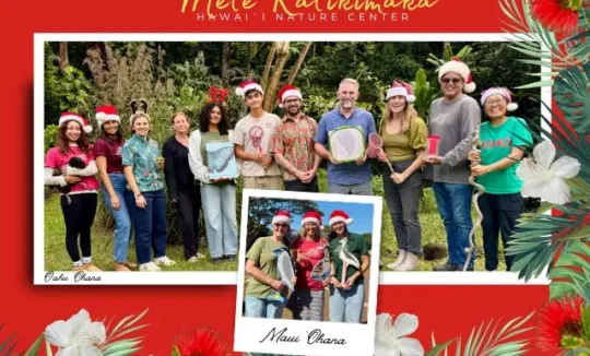 Christmas Card with ʻOahu and Maui