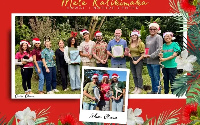 Christmas Card with ʻOahu and Maui