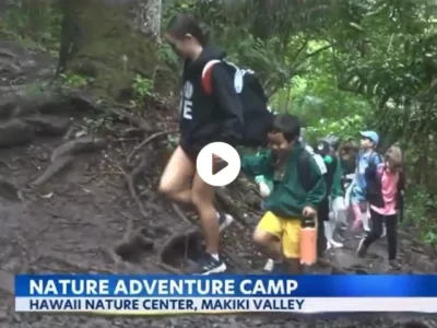 Nature adventure camp children hiking