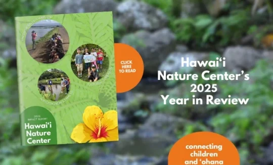 2025 Annual Report Graphic with cover.