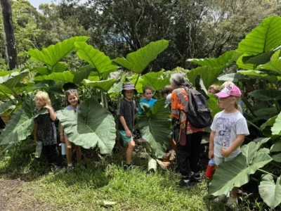 Nature Adventure Camp