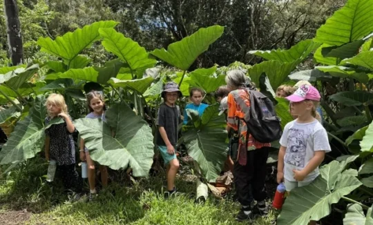 Nature Adventure Camp