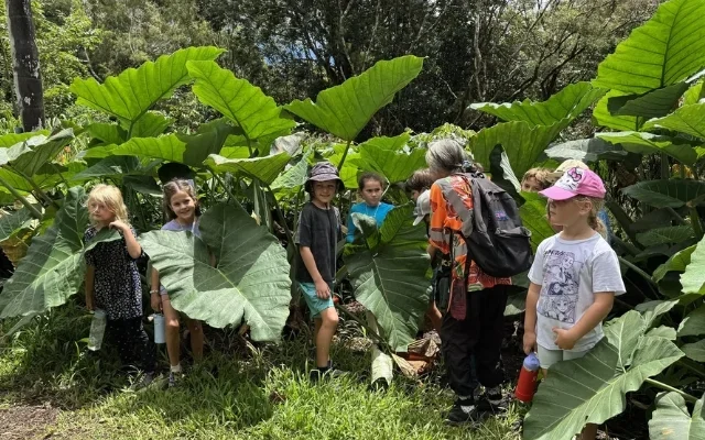Nature Adventure Camp