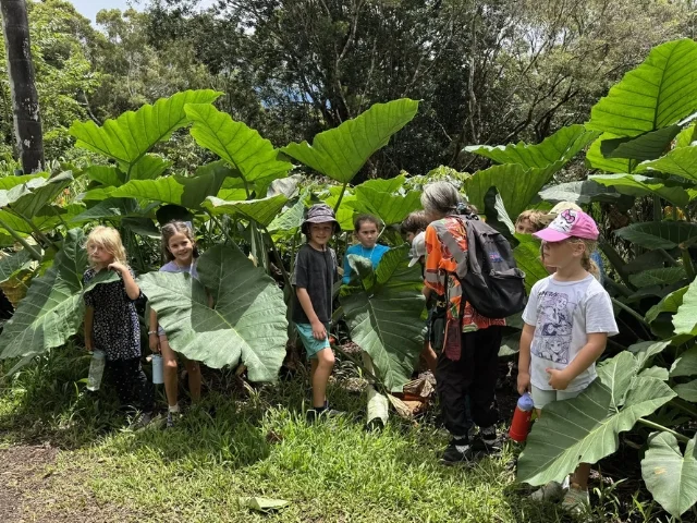 Nature Adventure Camp
