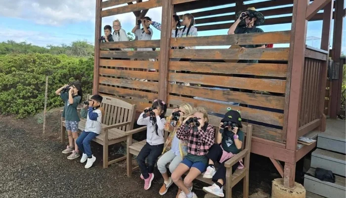 Maui school children look for wildlife with binoculars.