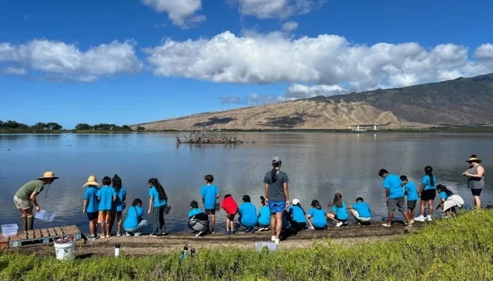 Maui school children kneel along Kealia Pond wetlands.